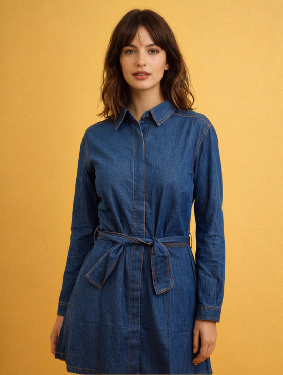 Denim Everyday Dress