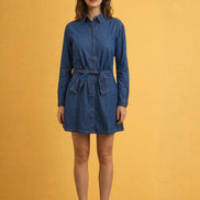Denim Everyday Dress