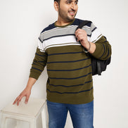 Multicolor Striped Full Sleeve Round Neck Plus Size Sweatshirt