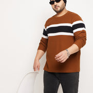Brown Striped Full Sleeve Round Neck Plus Size Sweatshirt