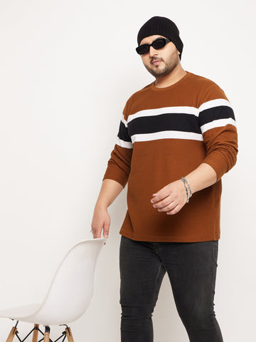 Brown Striped Full Sleeve Round Neck Plus Size Sweatshirt