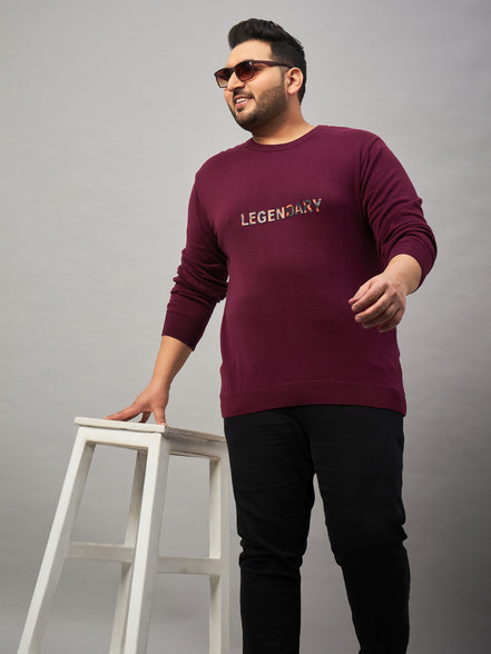 Burgundy Round Neck Plus active Sweater