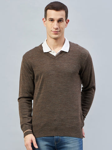 Brown Solid V Neck Sweater