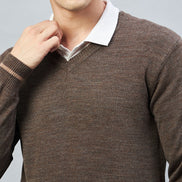 Brown Solid V Neck Sweater