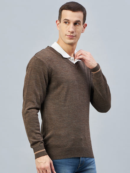 Brown Solid V Neck Sweater