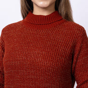 Brown Solid Sweater