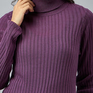 Purple  Solid Sweater