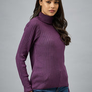 Purple  Solid Sweater