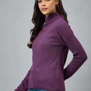Purple  Solid Sweater