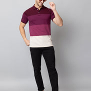 Maroon Colorblocked Polo Neck T-Shirt