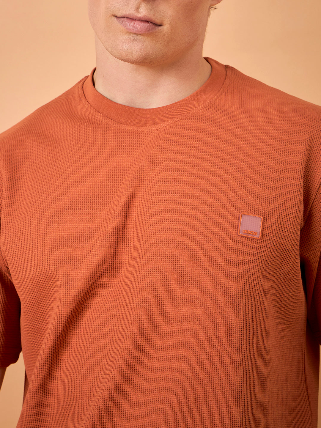 Men Rust Solid Regular Fit Short