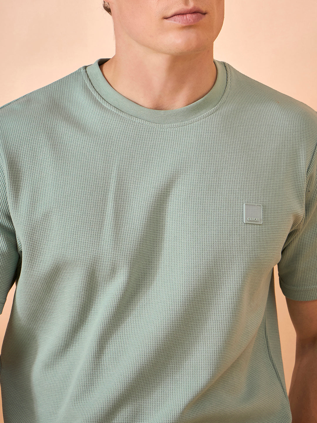 Men Light Green Solid Regular Fit Short
