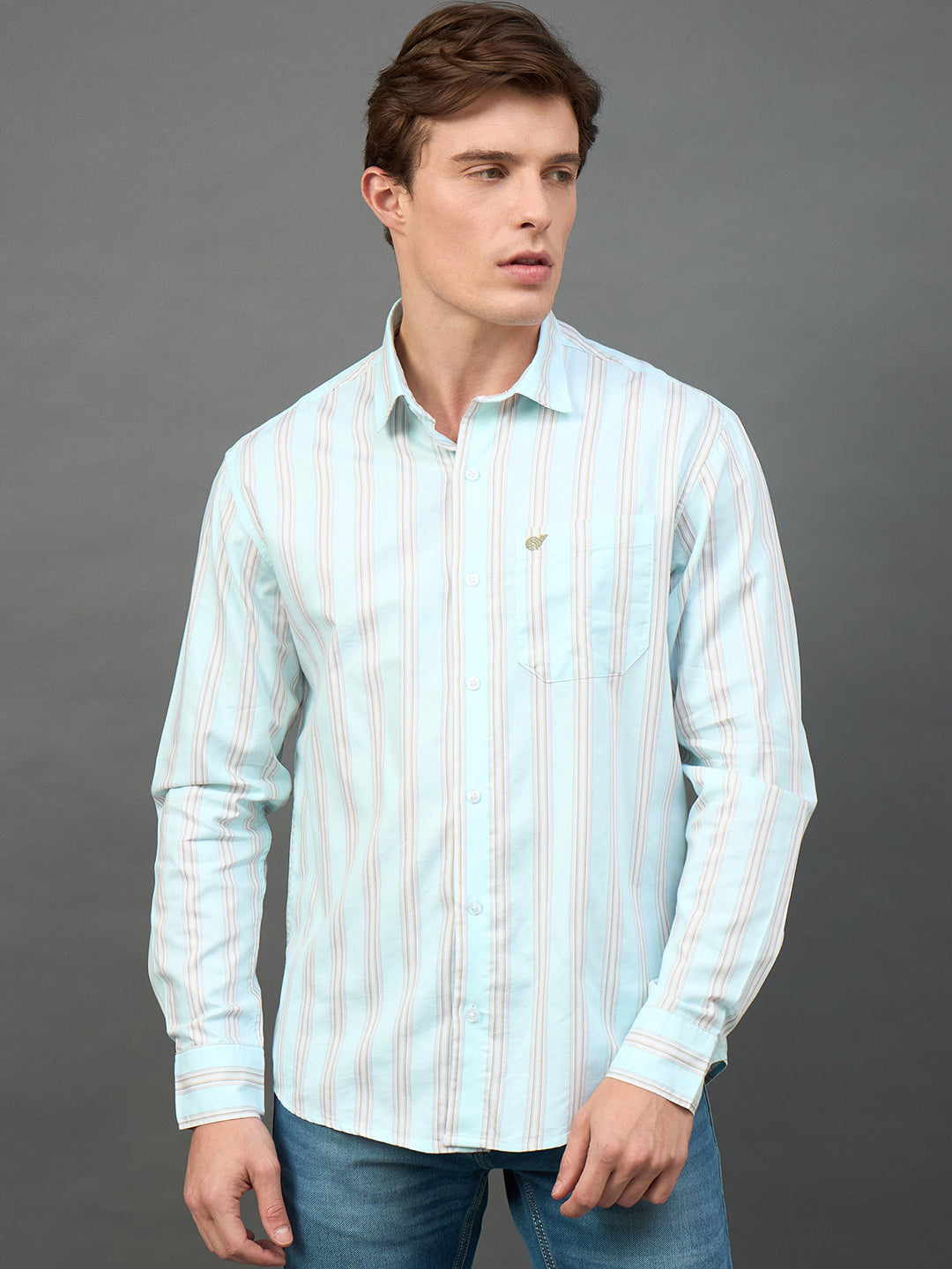 Blue Striped Shirt
