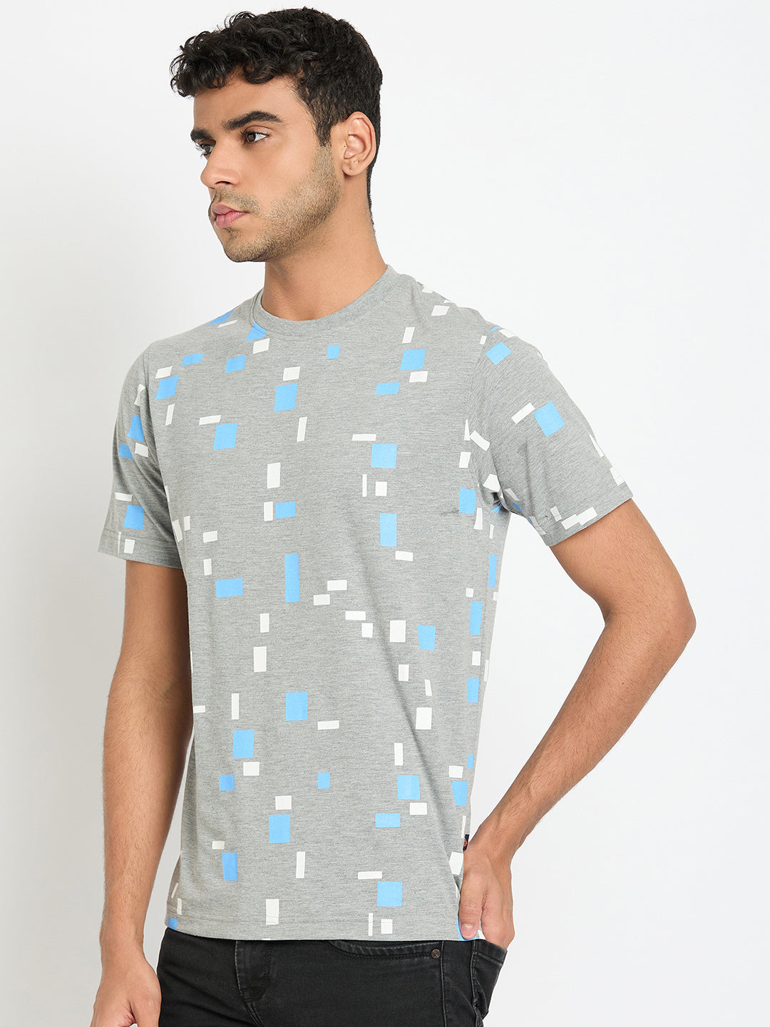 Light Grey Printed T-Shirt