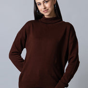 Brown  High Neck Soild Sweater