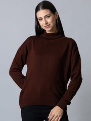 Brown  High Neck Soild Sweater