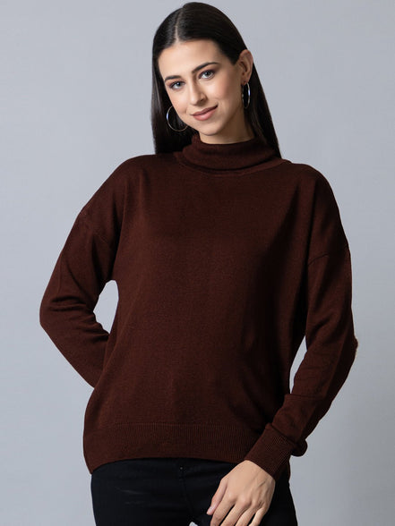 Brown  High Neck Soild Sweater