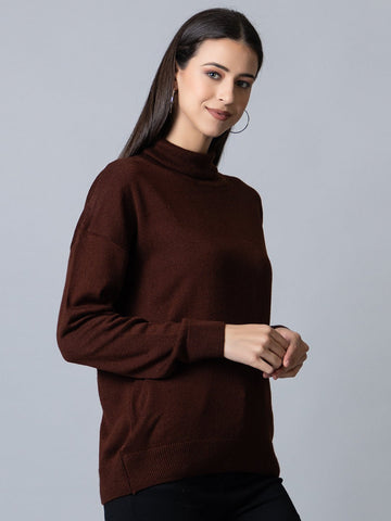Brown  High Neck Soild Sweater