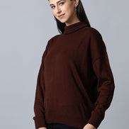 Brown  High Neck Soild Sweater