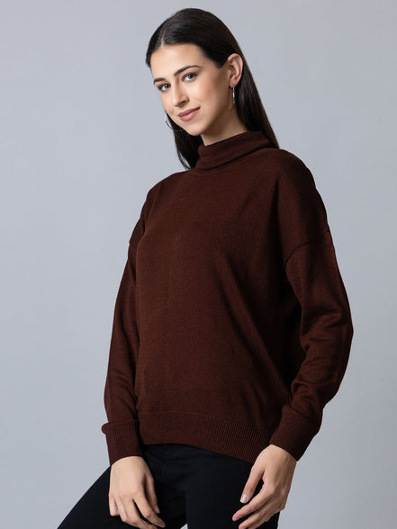 Brown  High Neck Soild Sweater